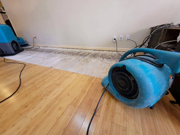 Professional Water Damage Repair technician working in Beallsville, OH